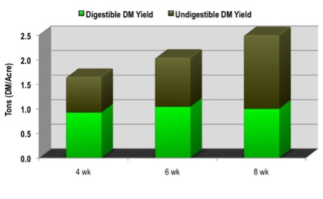 Figure 9. As an illustration of a typical situation, the total yield of bermudagrass increases with maturity,
but the amount of digestible dry matter (DM)/acre does not generally increase beyond four-week-old
growth. Because of increasing fiber and lignin concentrations, more undigestible DM is produced and
lowers the quality.